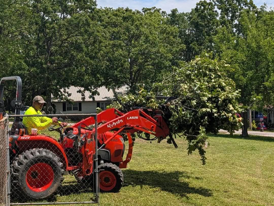 Compact tractor carrying a large bundle of trimmed branches