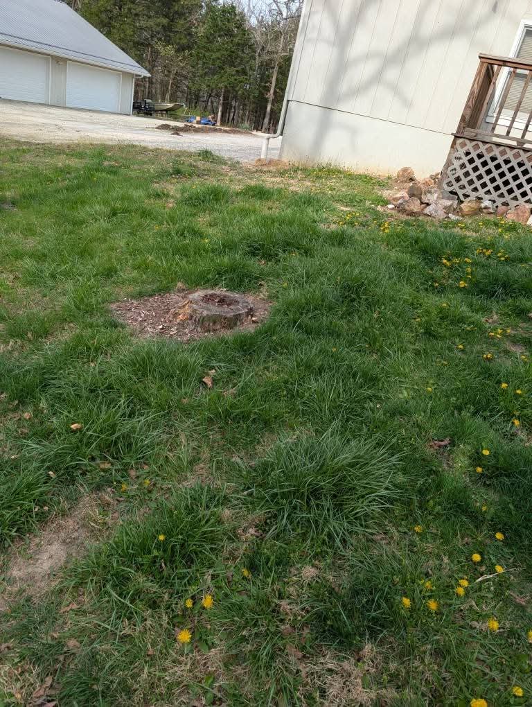 Residential yard with a tree stump remaining in the grass near a house