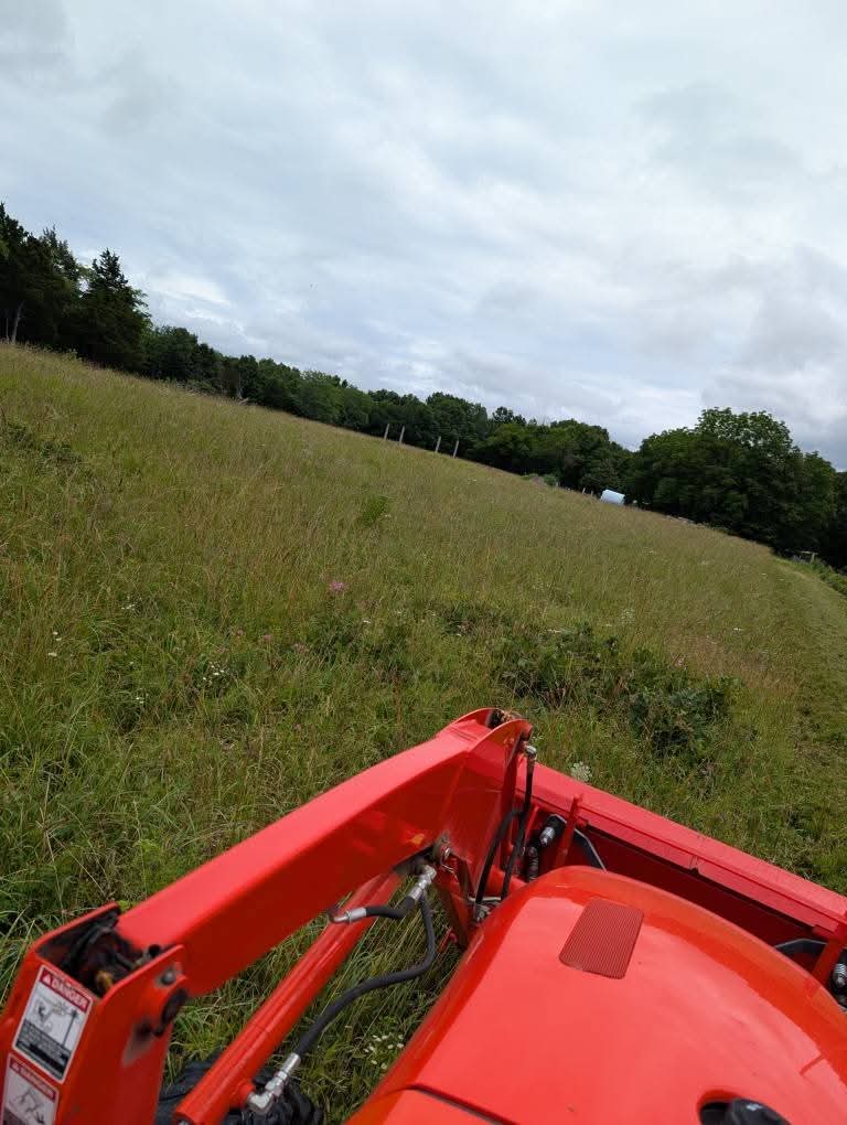 Kubota tractor with mower deck cutting a path through tall field grass